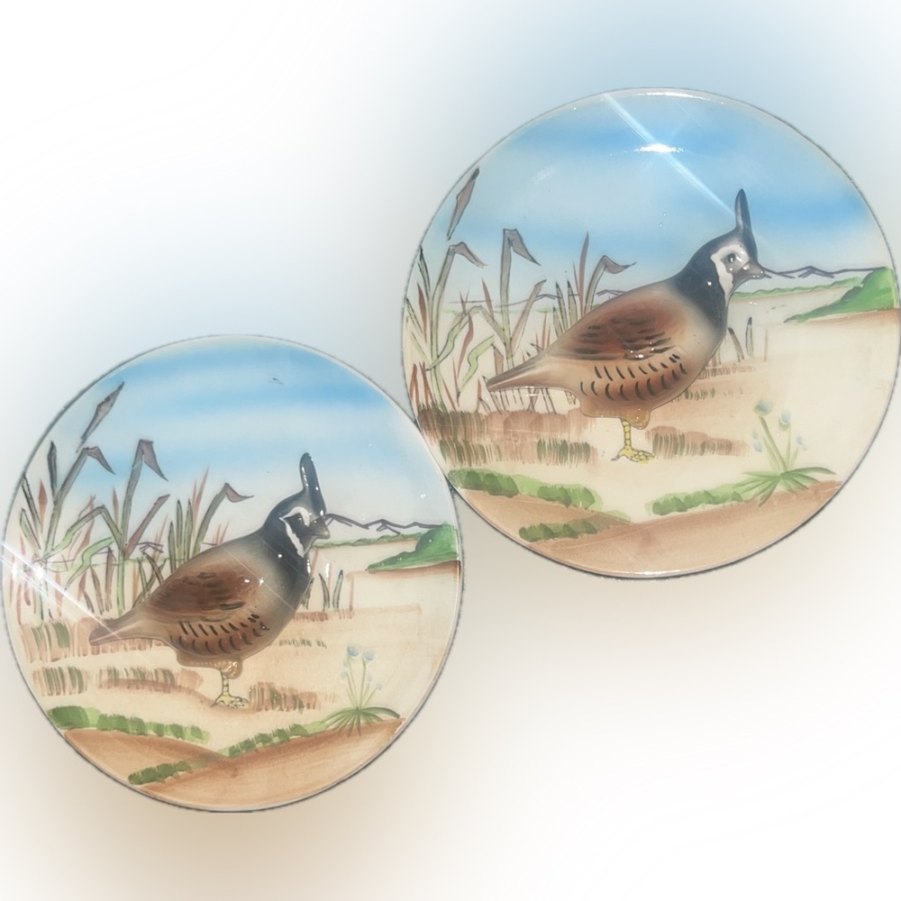 NORCREST Vintage Collectable Wall Plates with 3D Mountain Quail Design